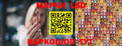 гашик Нарткала