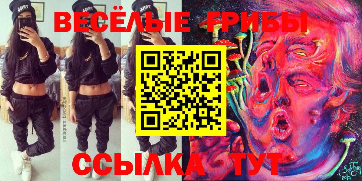 Троицк  как найти   Вход с VPN  Псилоцибиновые грибы ЛСД  Галлюциногенные грибы GOLDEN TEACHER 